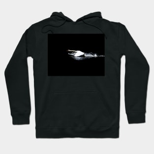 Swan Launch Hoodie